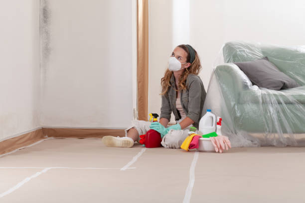 Reliable Mold Remediation contractor in Edison, NJ by Mold Remediation HQ